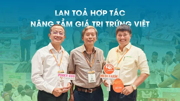 Spreading Cooperation to Enhance the Value of Vietnamese Eggs